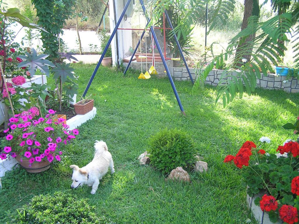 Villa Dallas วูร์วูรู ภายนอก รูปภาพ